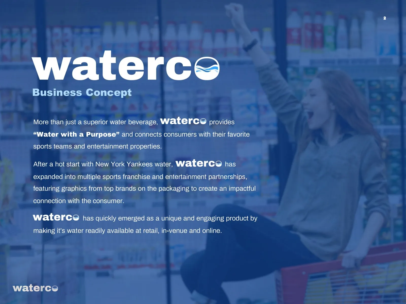 WaterCo business plan — page 2